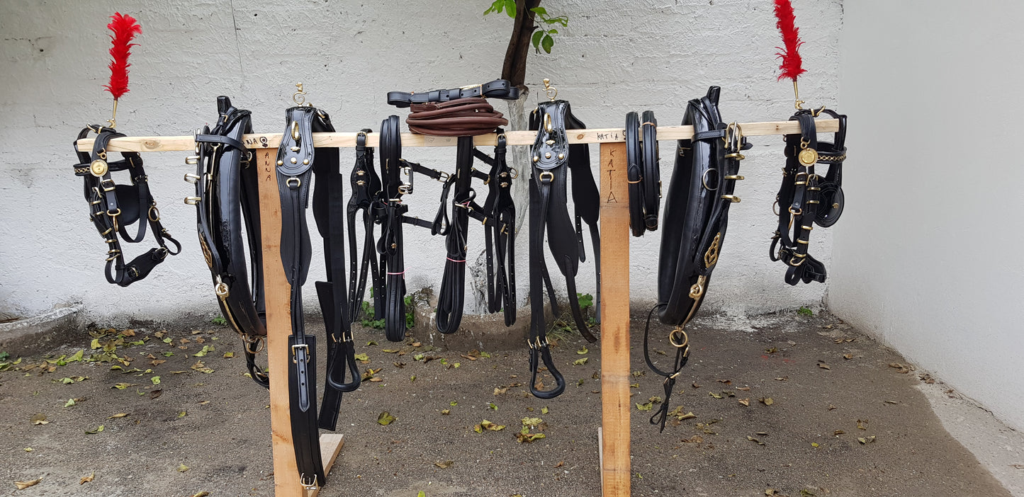 FINIMENTO PARIGLIA NERO LUCIDO/ ACCESSORI OTTONE