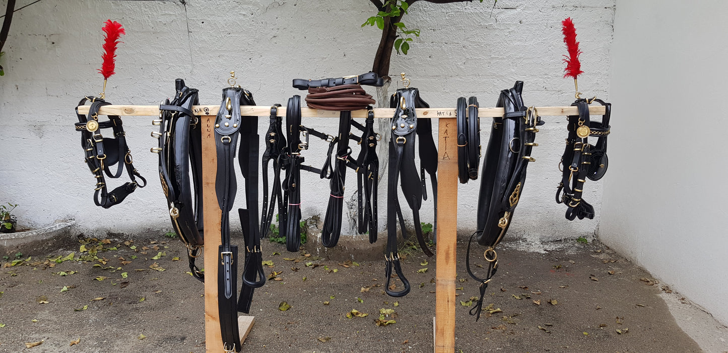 FINIMENTO PARIGLIA NERO LUCIDO/ ACCESSORI OTTONE