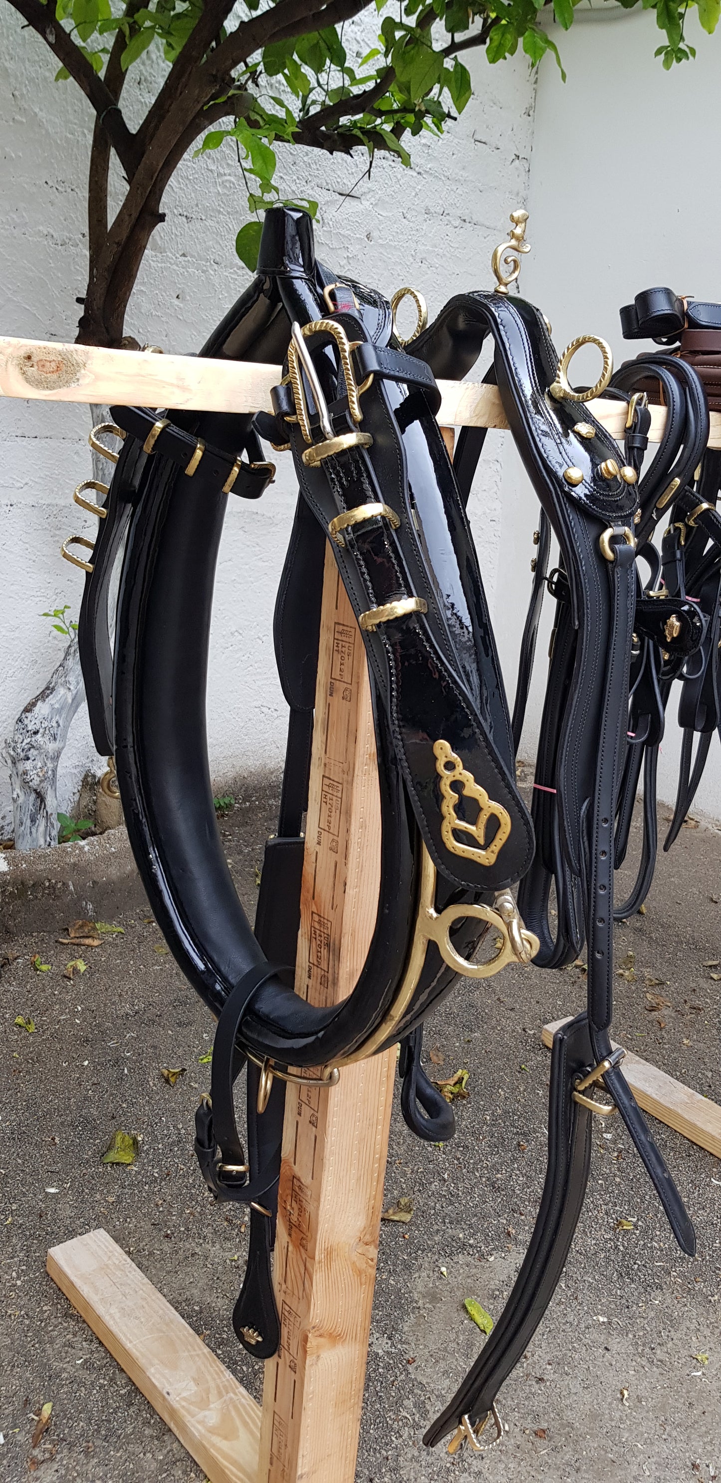FINIMENTO PARIGLIA NERO LUCIDO/ ACCESSORI OTTONE