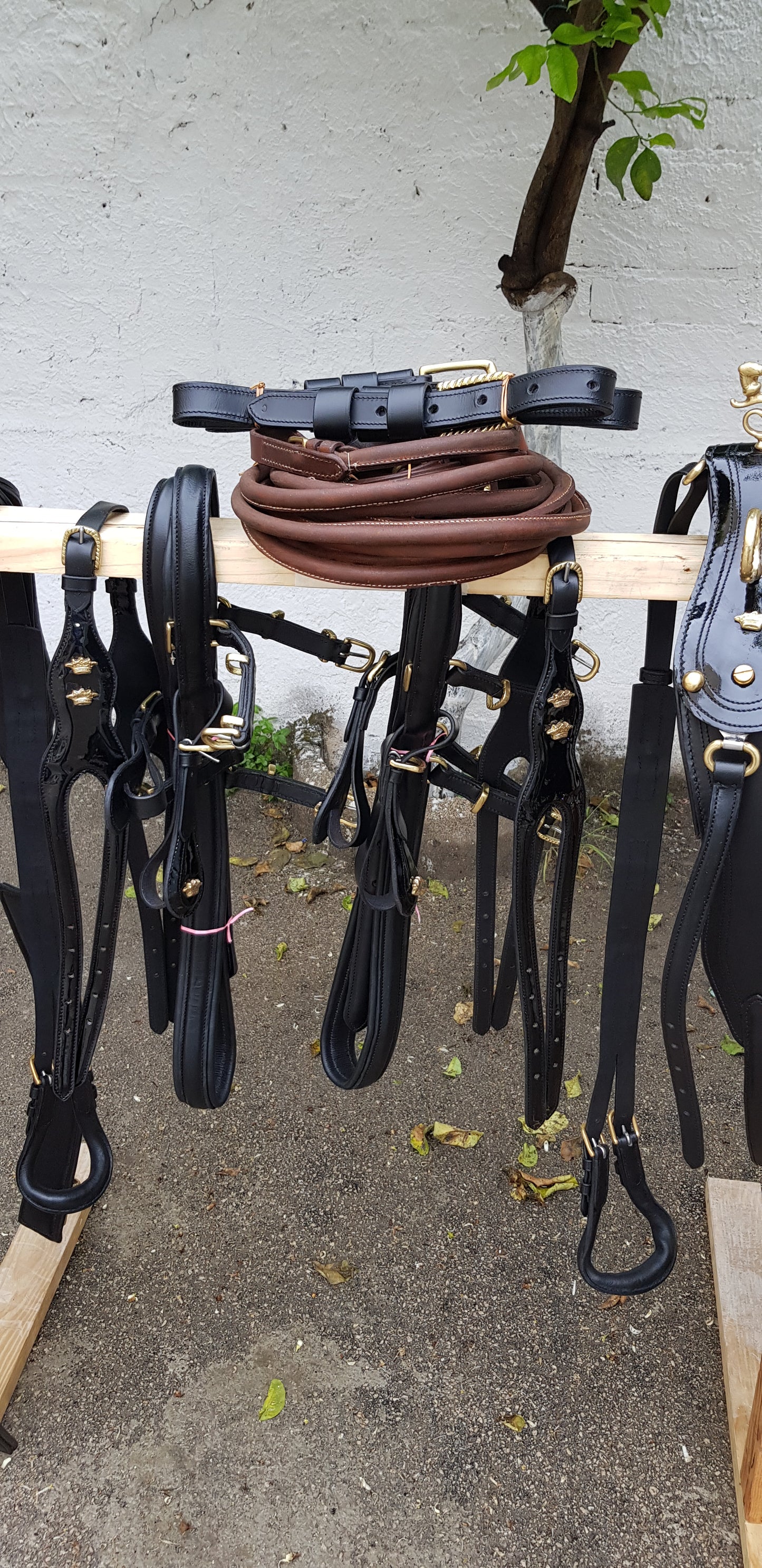 FINIMENTO PARIGLIA NERO LUCIDO/ ACCESSORI OTTONE
