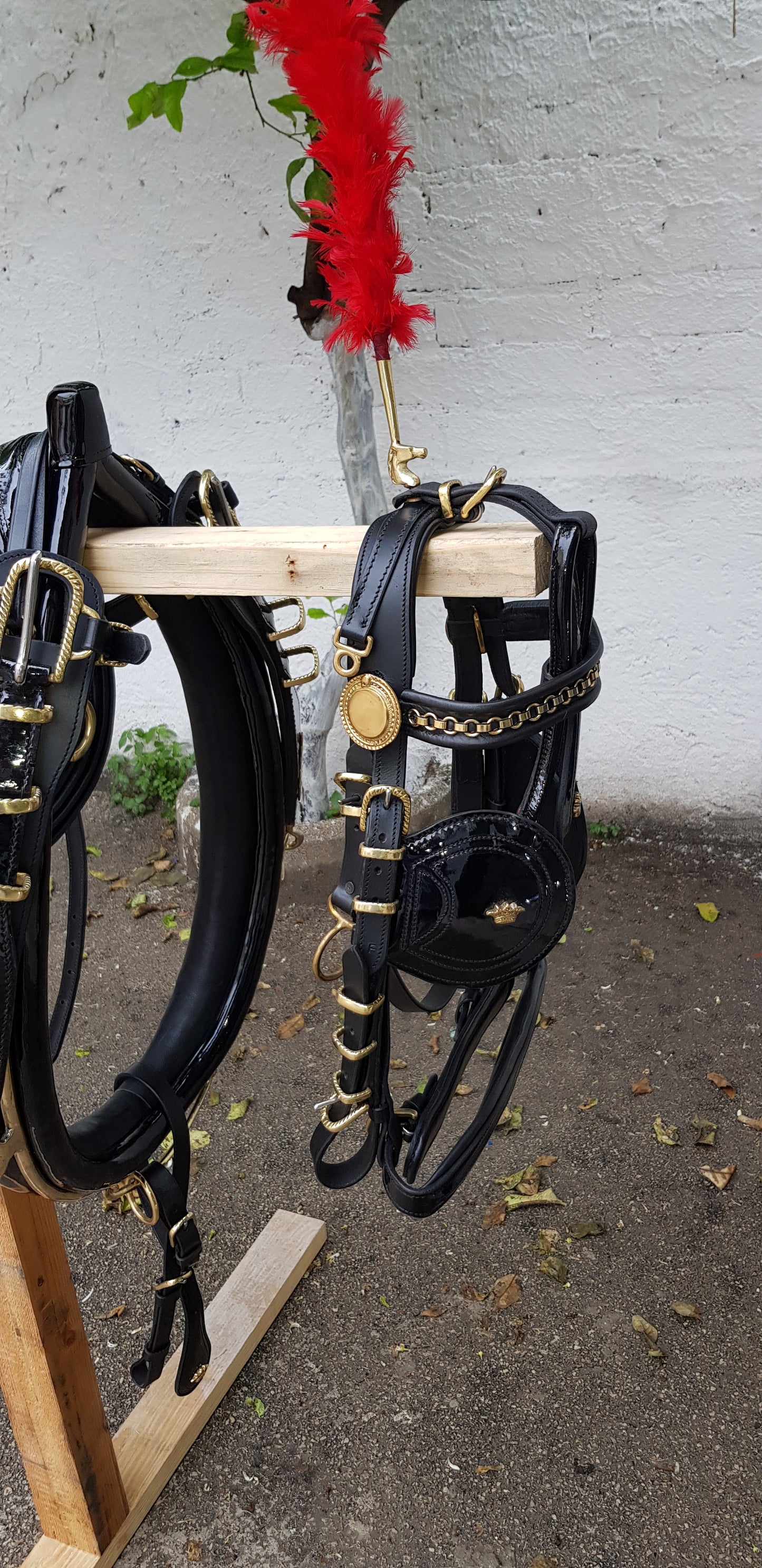 FINIMENTO PARIGLIA NERO LUCIDO/ ACCESSORI OTTONE