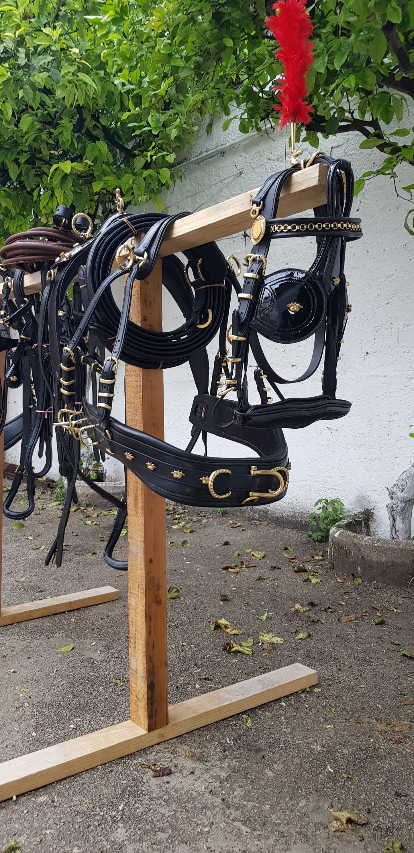 FINIMENTO PARIGLIA NERO LUCIDO/ ACCESSORI OTTONE
