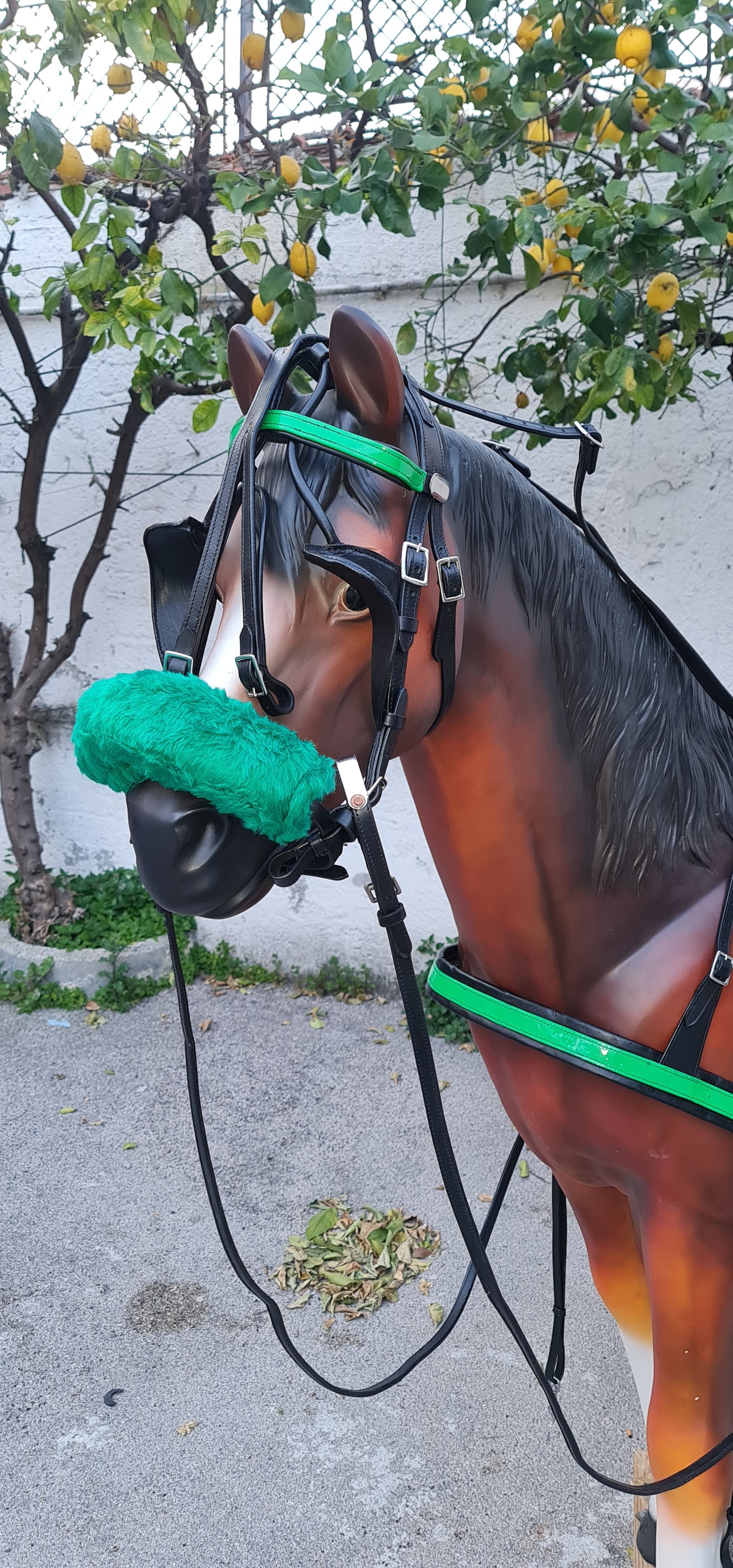 FINIMENTO PER MINI TROTTER