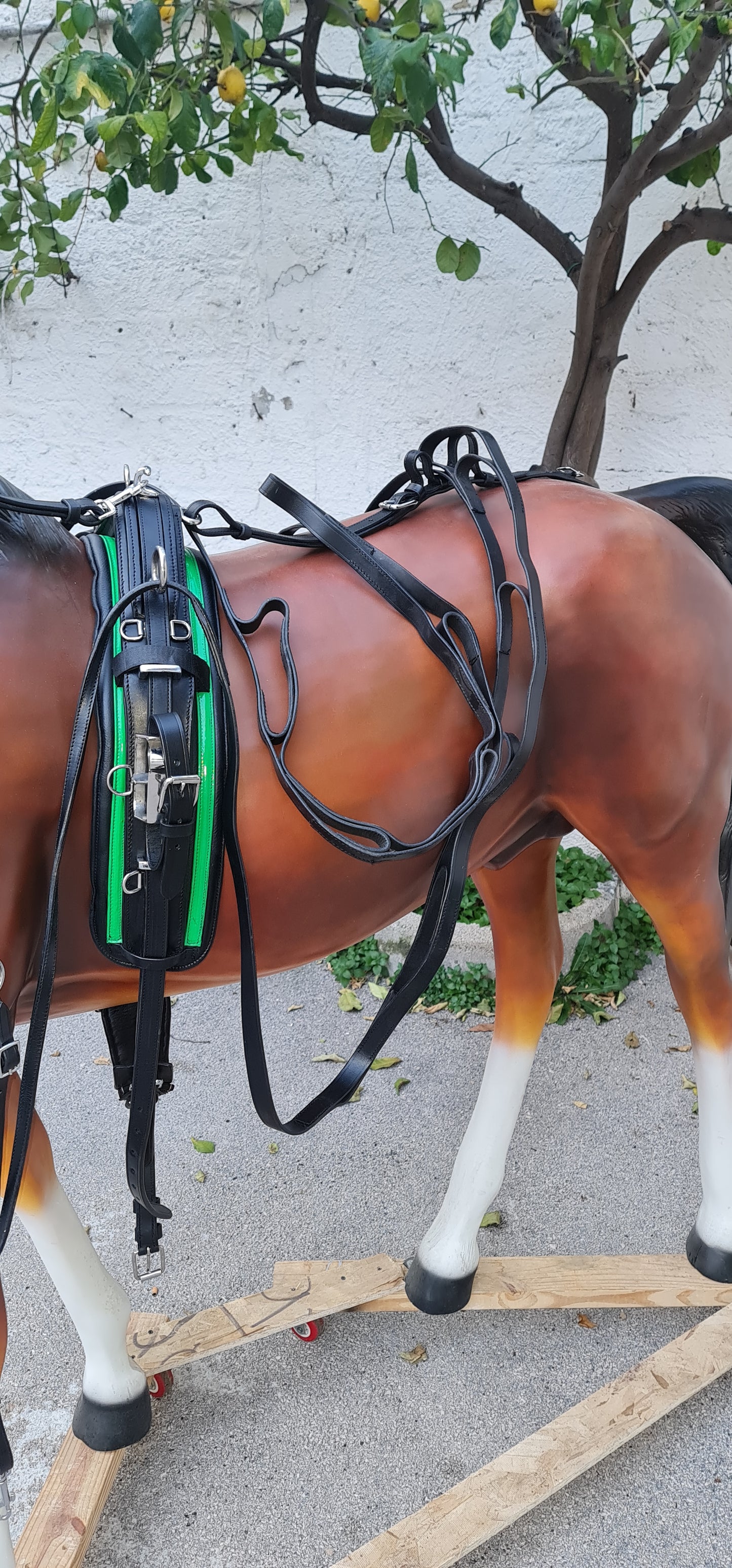 FINIMENTO PER MINI TROTTER