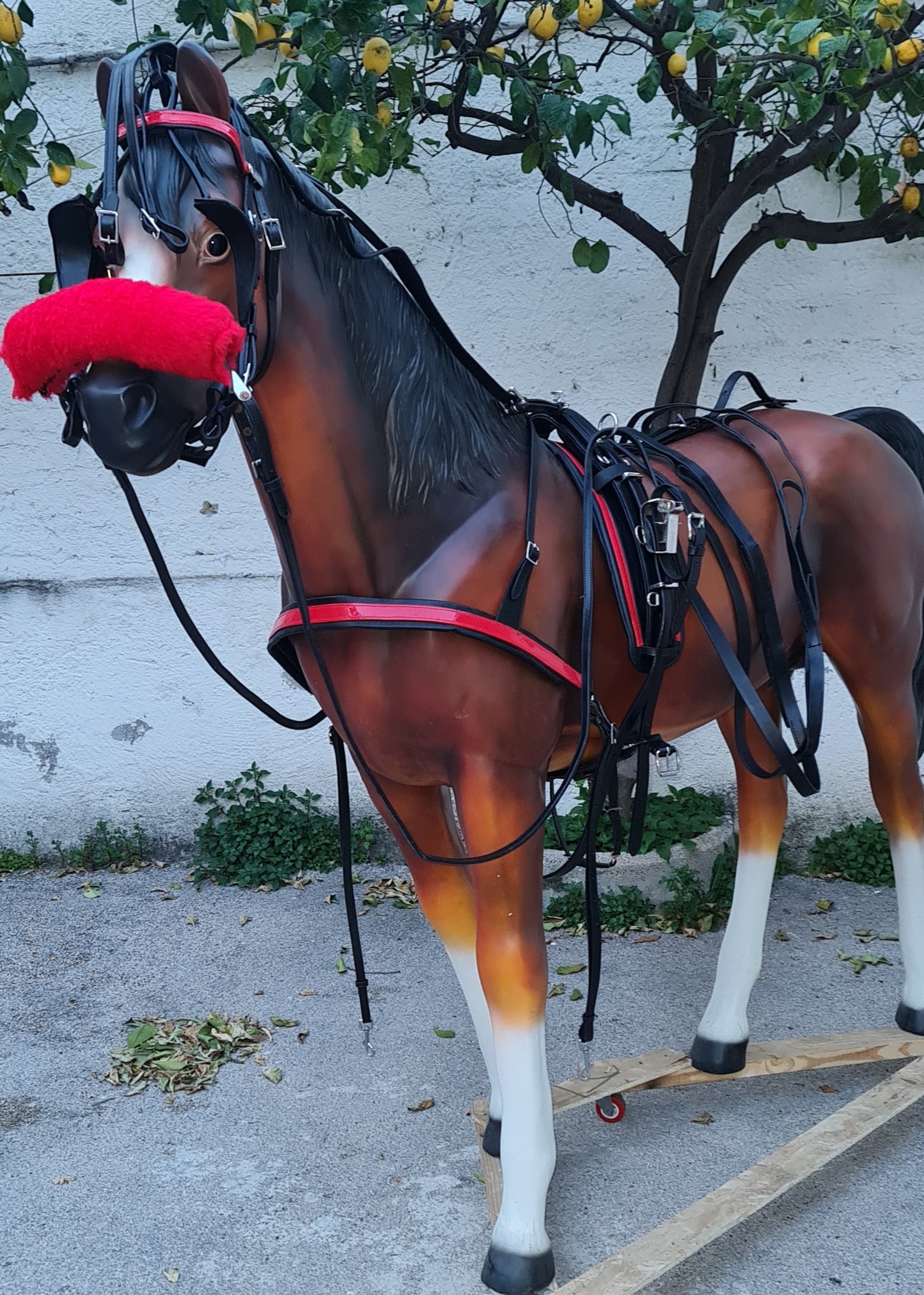 FINIMENTO PER MINI TROTTER