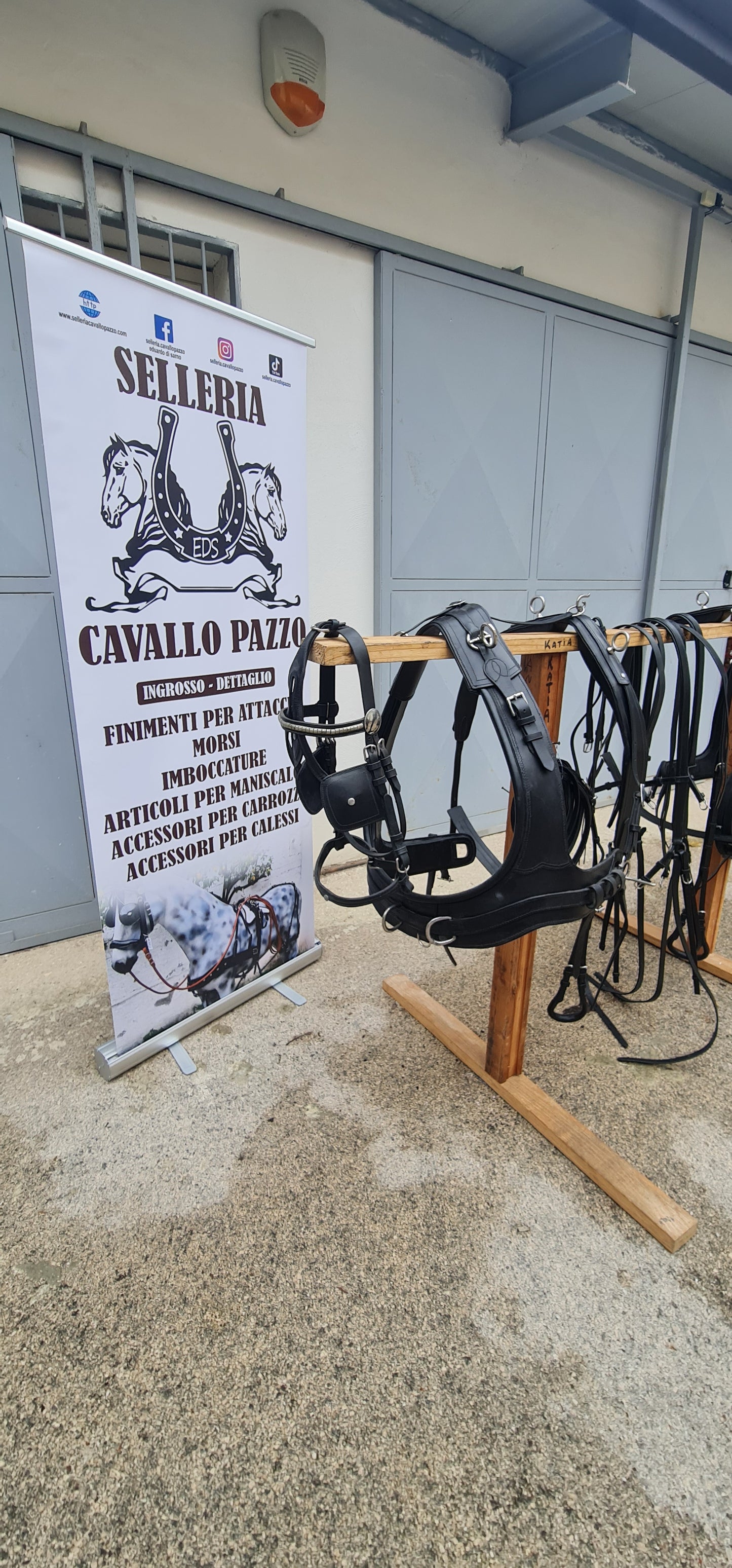FINIMENTO PARIGLIA CON COLLARE FRANCESE
