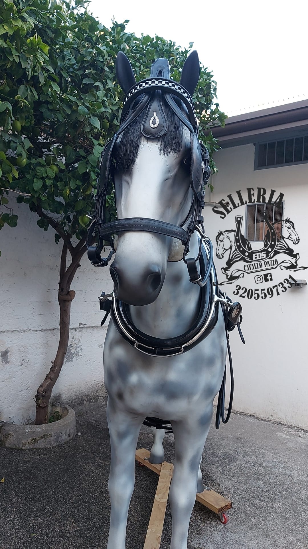 FINIMENTO CON COLLARE INGLESE 🐎🐴