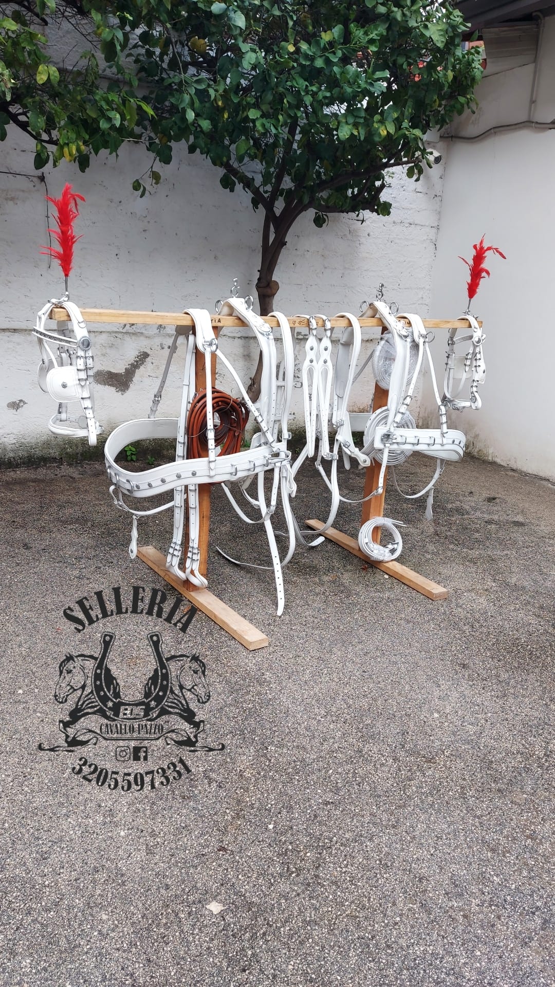 FINIMENTO COMPLETO PER ATTACCO PARIGLIA IN CUOIO BIANCO CON COLLANE / PETTORALE ANATOMIC