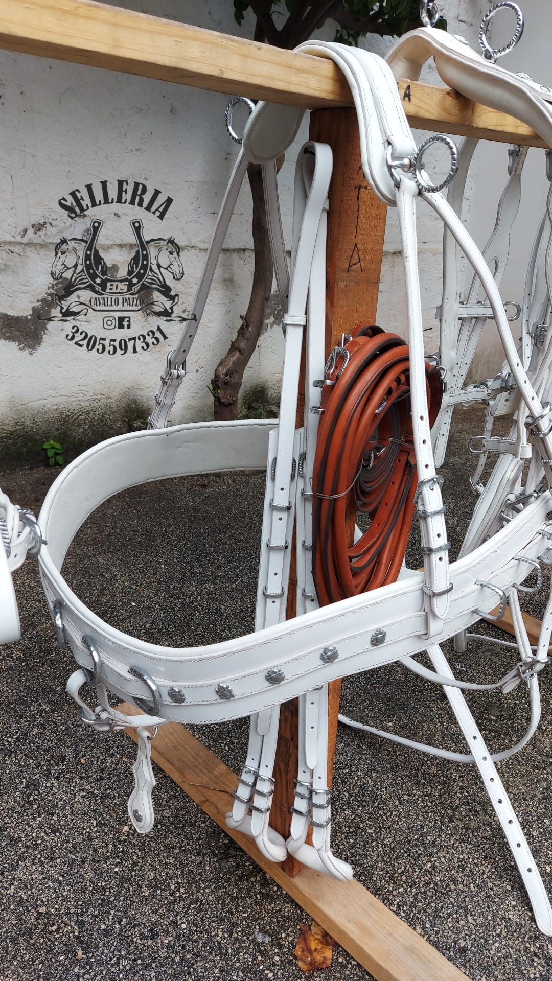 FINIMENTO COMPLETO PER ATTACCO PARIGLIA IN CUOIO BIANCO CON COLLANE / PETTORALE ANATOMIC