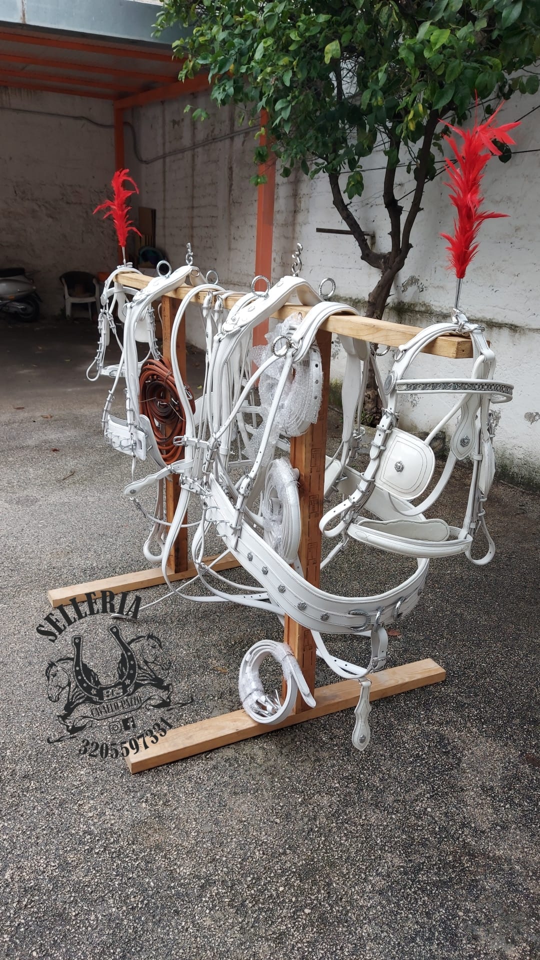 FINIMENTO COMPLETO PER ATTACCO PARIGLIA IN CUOIO BIANCO CON COLLANE / PETTORALE ANATOMIC