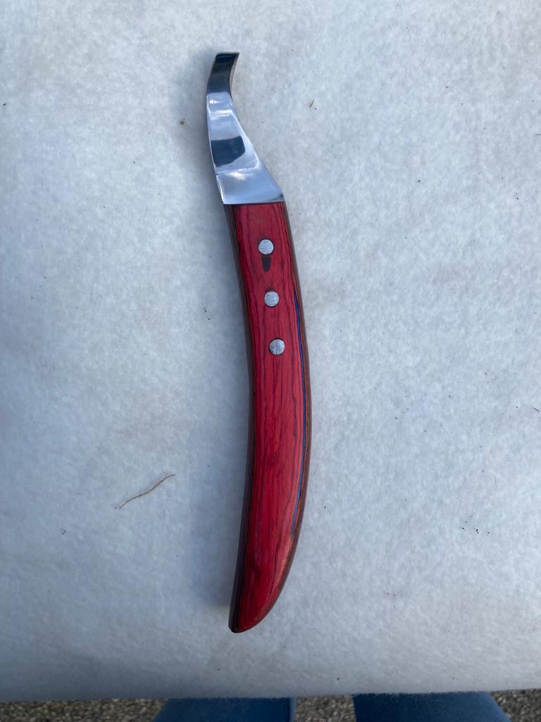 Coltello Becca Con Lama Occhio