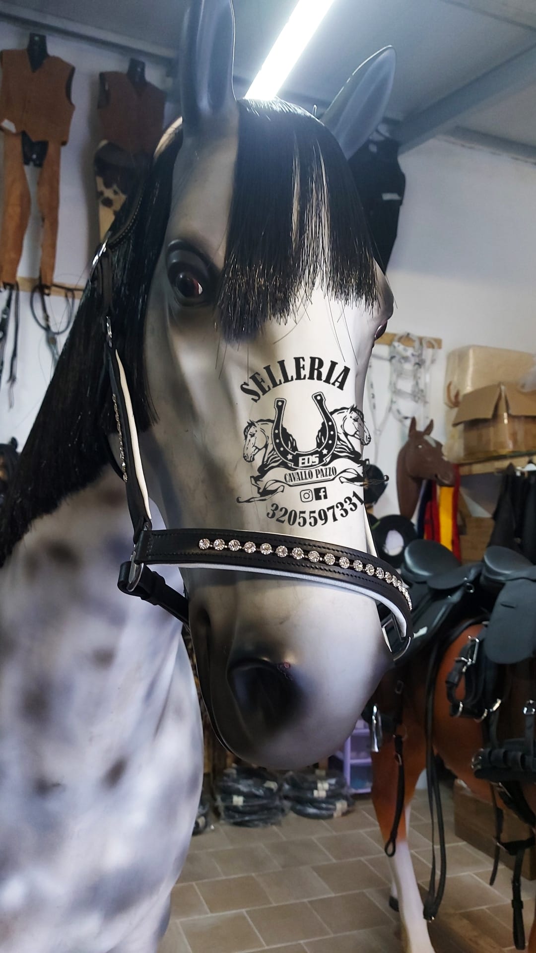 Set completo TESTIERA REDINI PETTORALE CAPEZZA