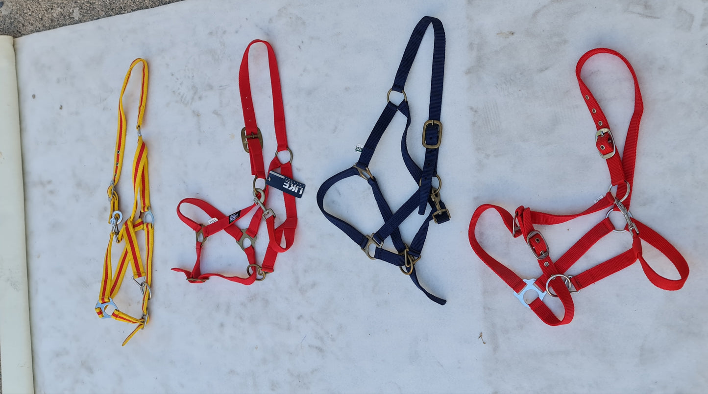 Capezze .cavezze in nylon