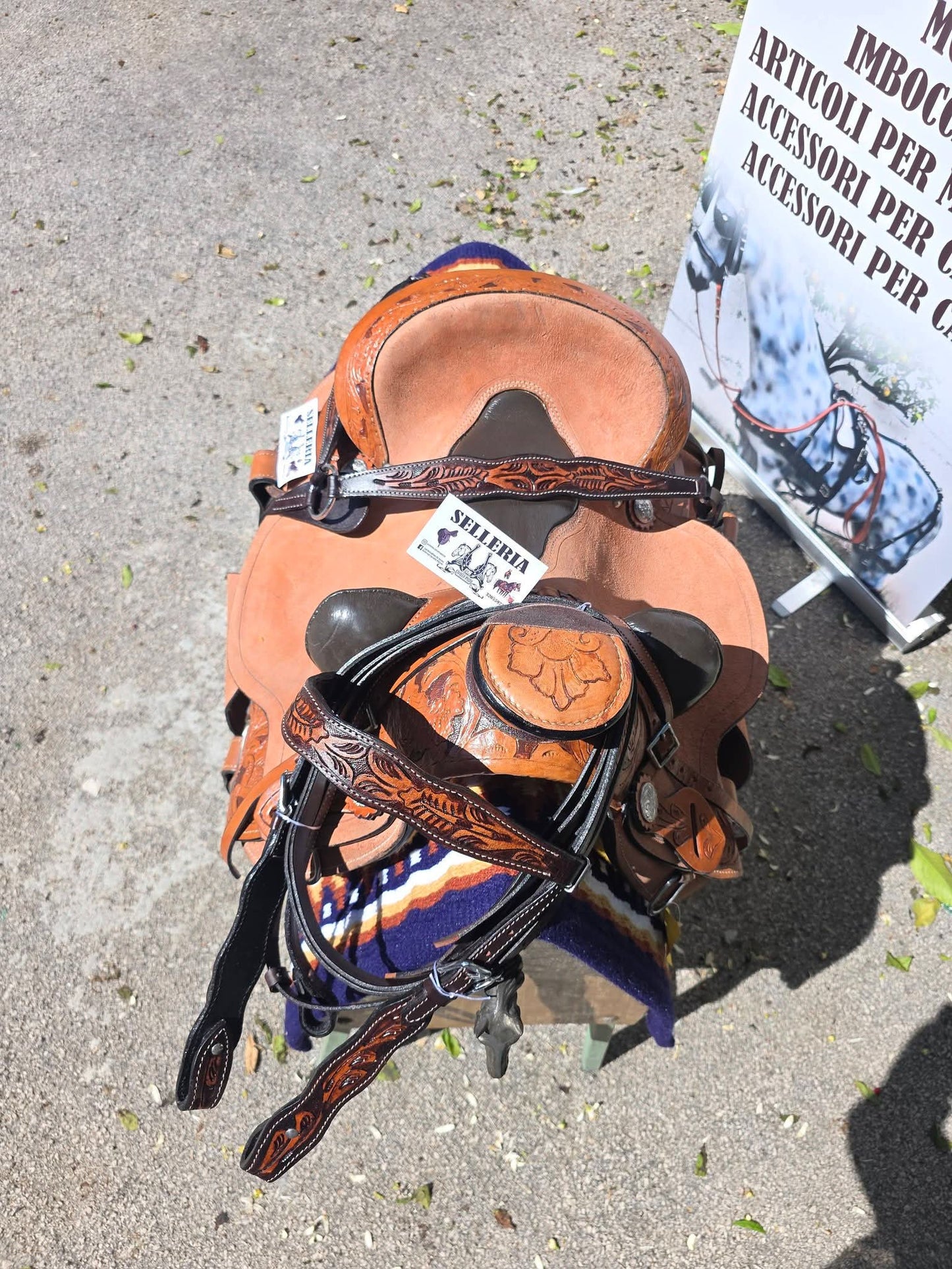 Sella western ANATOMIC