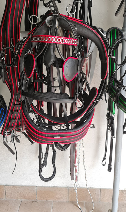 FINIMENTO COMPLETO IN CUOIO/ BIOTHANE
