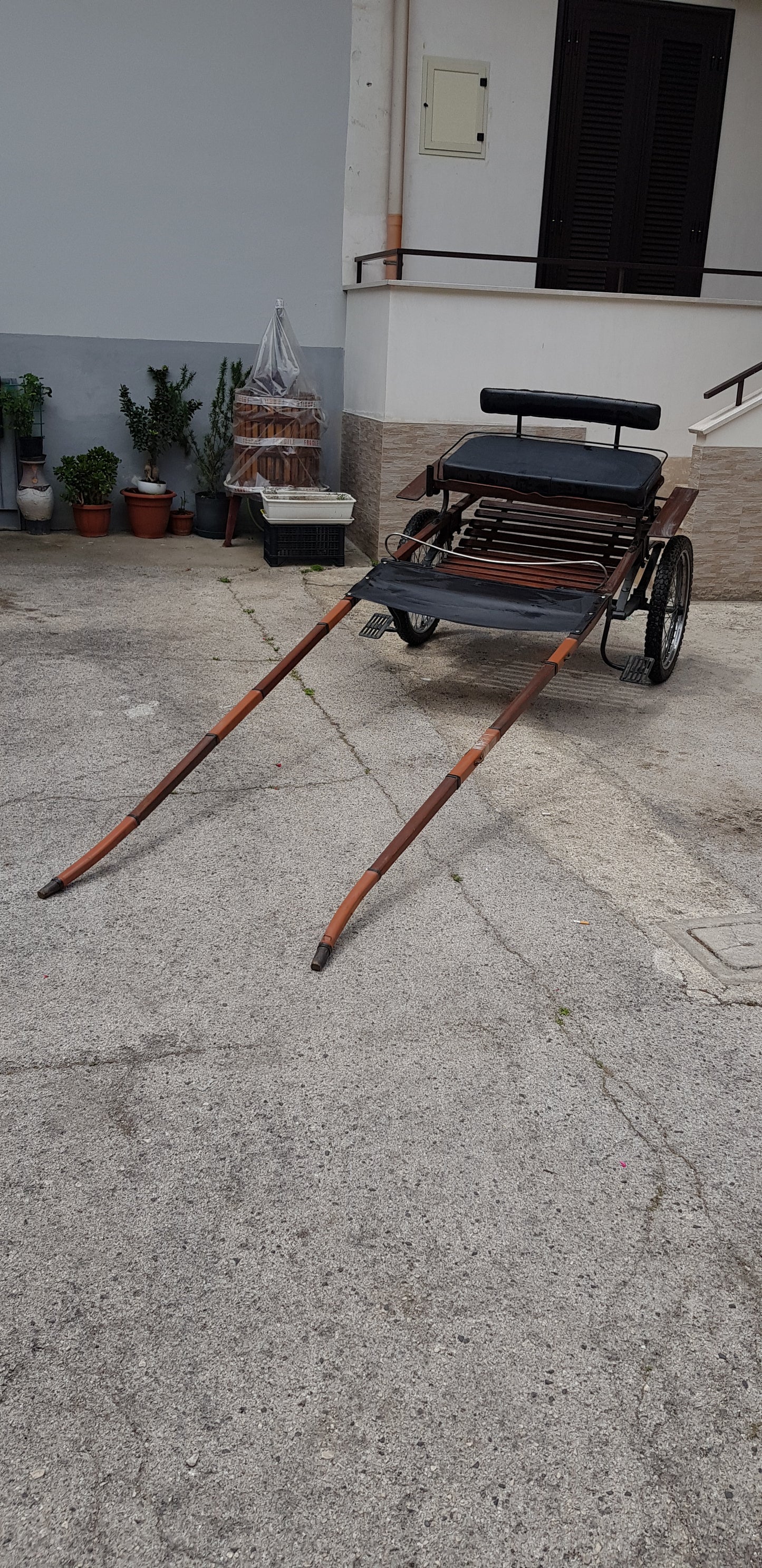 CALESSE IN LEGNO PER CAVALLI GRANDI