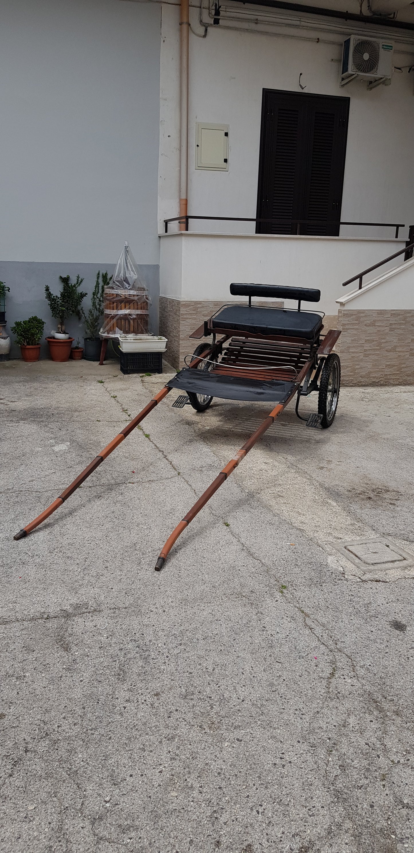 CALESSE IN LEGNO PER CAVALLI GRANDI