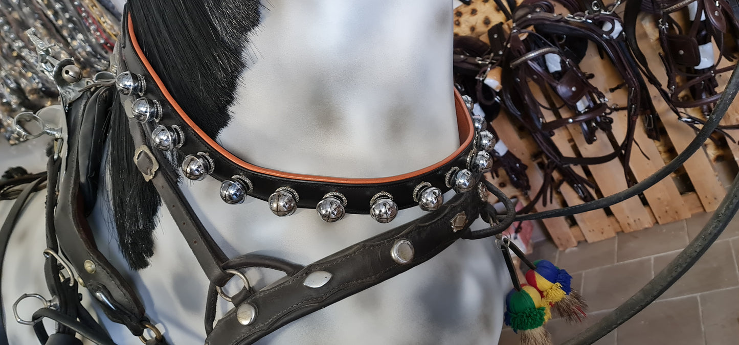 COLLANA CON SONAGLI CONPLETI DI ROSONE PARTICOLARI