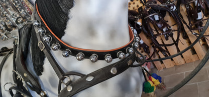 COLLANA CON SONAGLI CONPLETI DI ROSONE PARTICOLARI