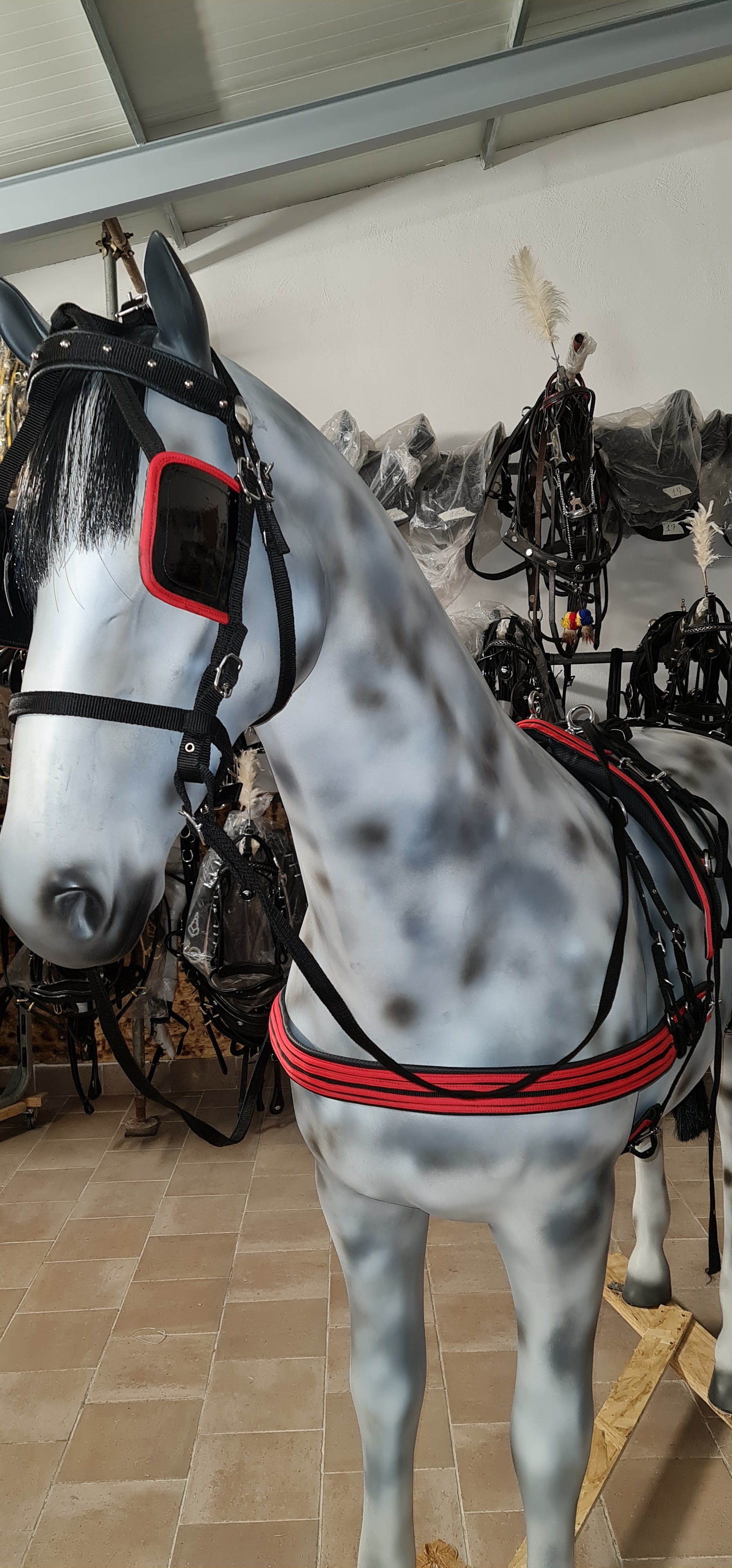 Marsupio Da Sella Tribale Showman In Nylon Isolato Con Stampa Cavallo Da Corsa - Foto 5