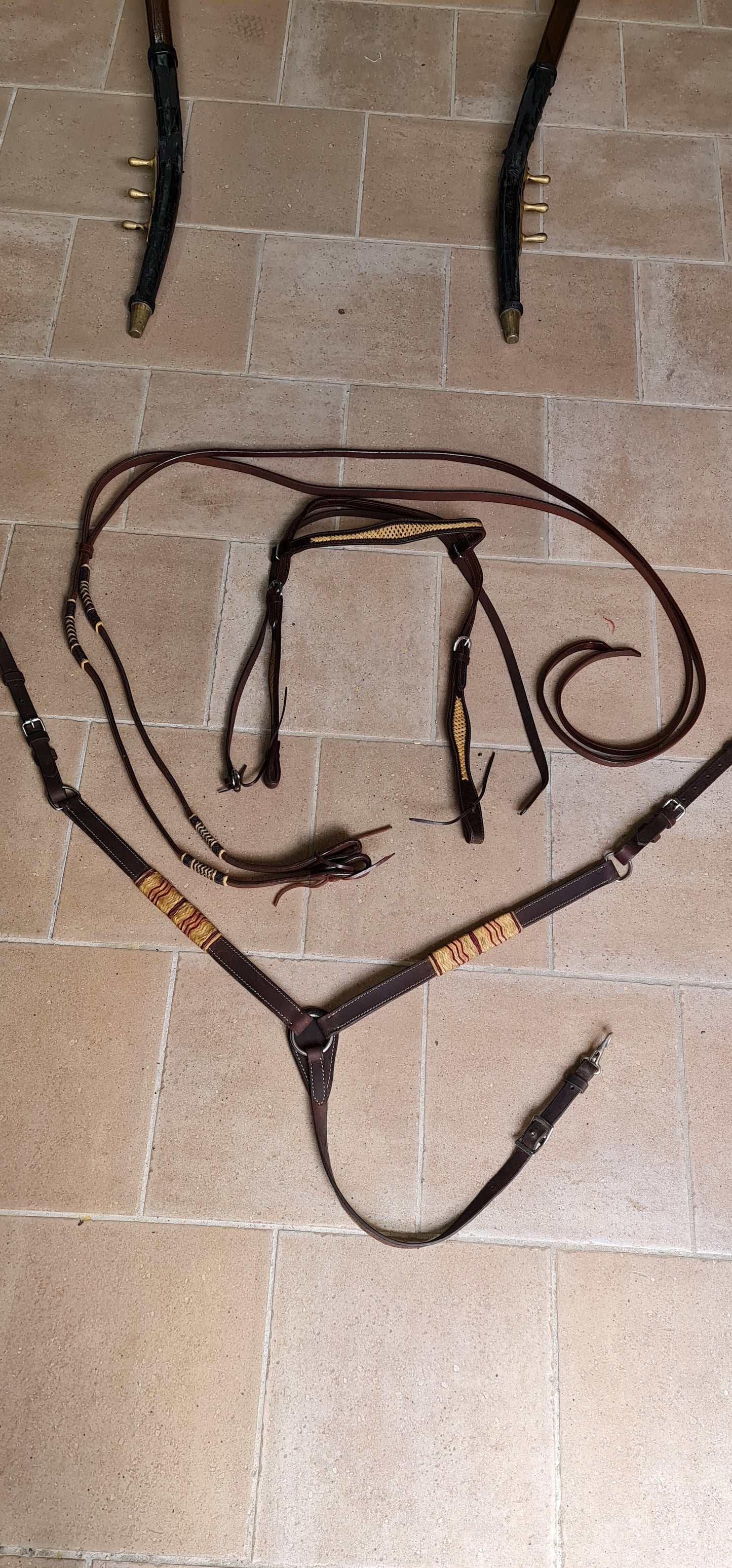 SET , FINIMENTI TESTIERA REDINI PETTORALE WESTERN