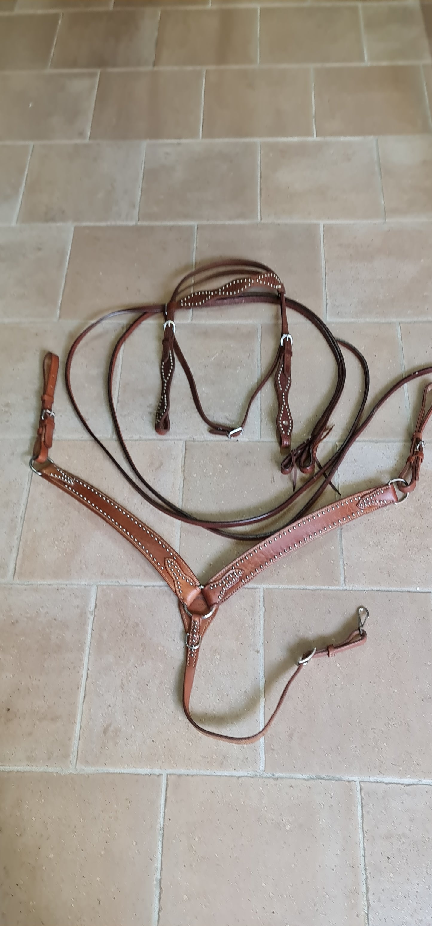SET , FINIMENTI TESTIERA REDINI PETTORALE WESTERN