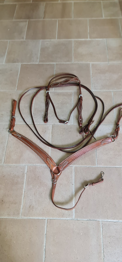 SET , FINIMENTI TESTIERA REDINI PETTORALE WESTERN