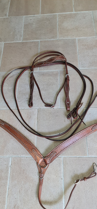 SET , FINIMENTI TESTIERA REDINI PETTORALE WESTERN