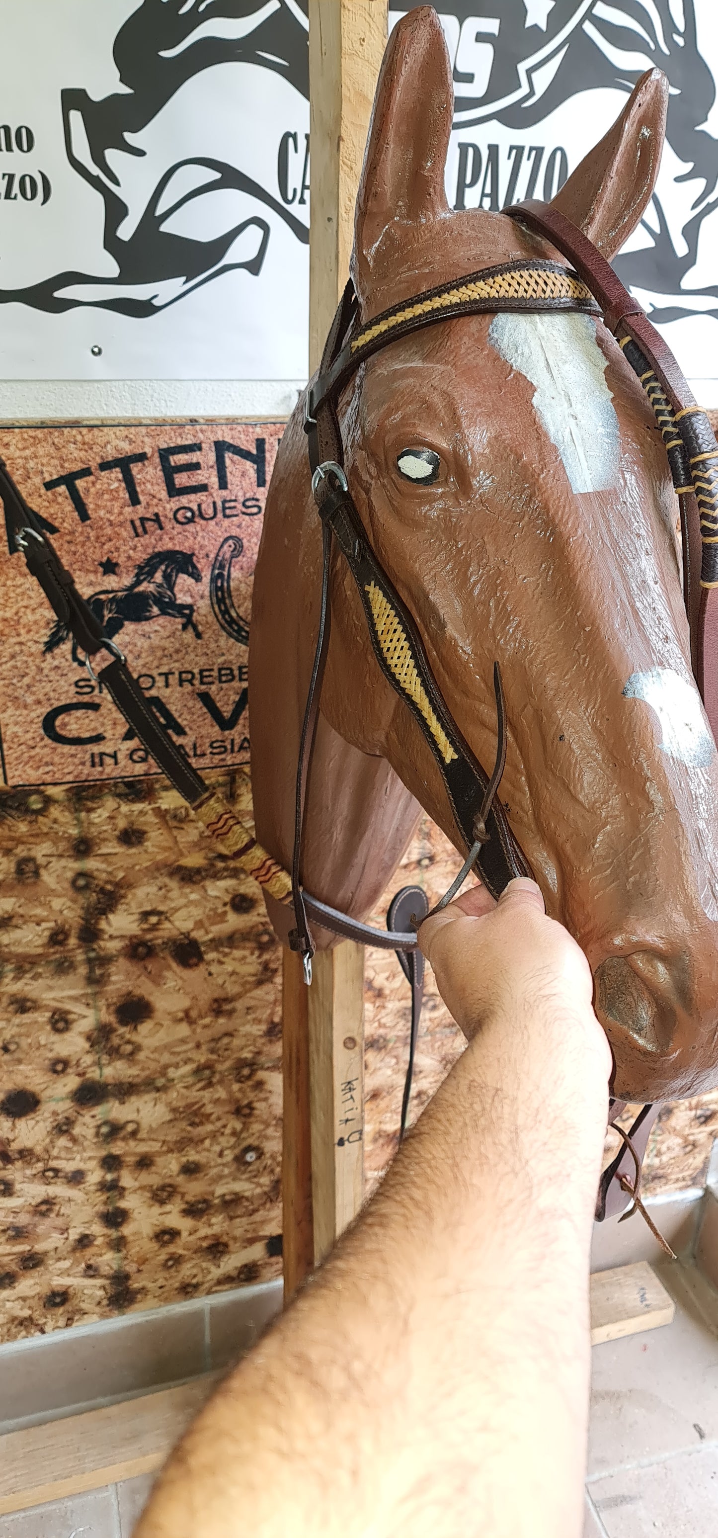 SET , FINIMENTI TESTIERA REDINI PETTORALE WESTERN