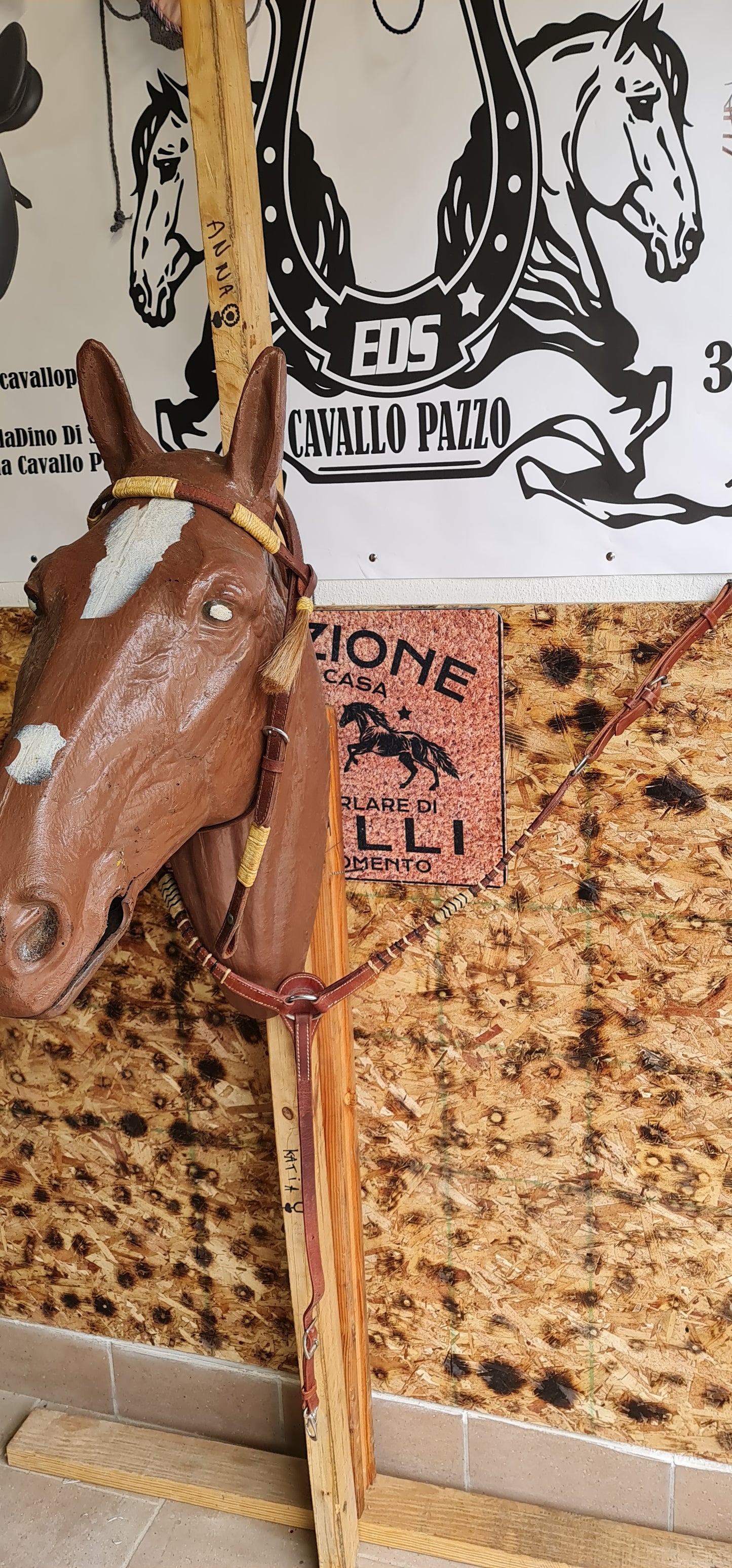 SET , FINIMENTI TESTIERA REDINI PETTORALE WESTERN