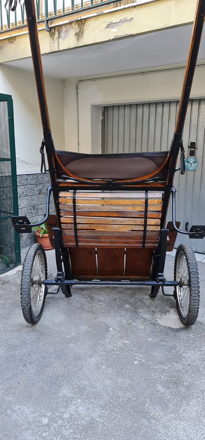 CALESSE PISTOIESE CON TRE BALESTRE
