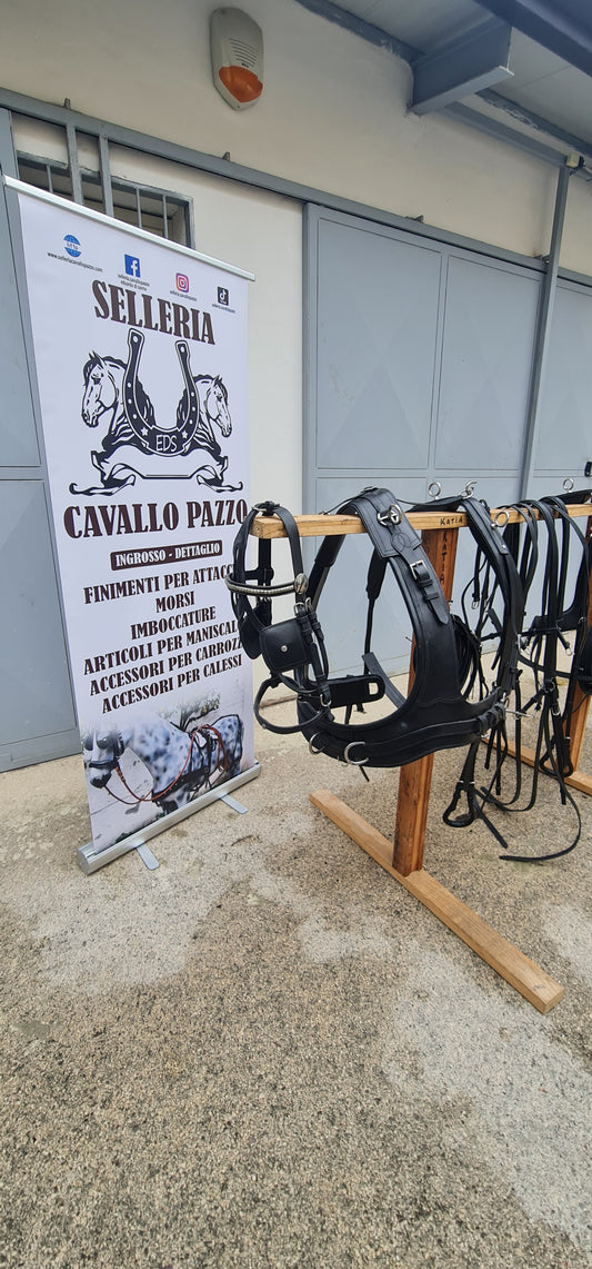 FINIMENTO PARIGLIA CON COLLARE FRANCESE