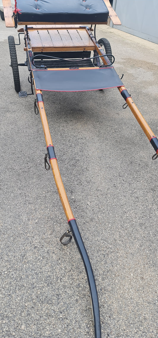 CALESSE IN LEGNO  CON IMBOTTITURA E LAVORAZIONE CUOIO NERO CON BORDI ROSSI