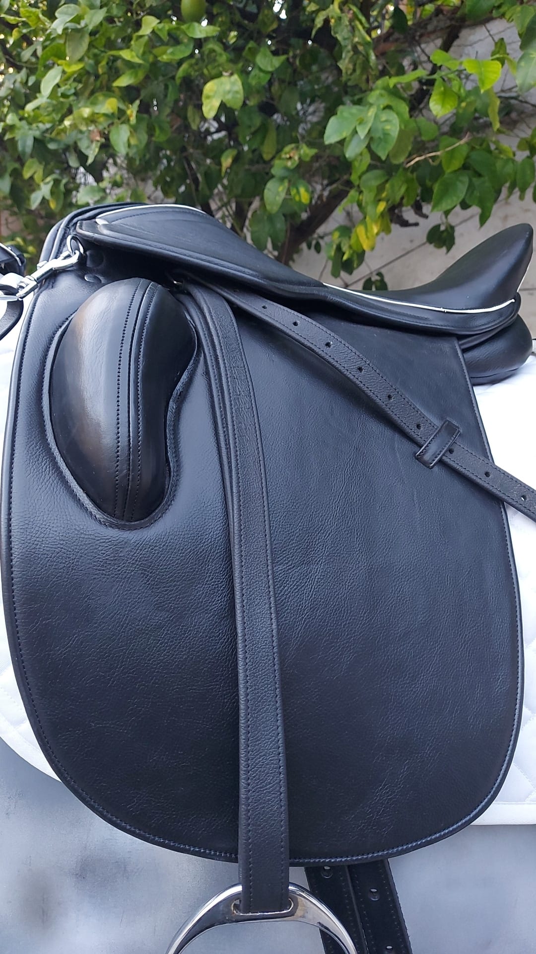 SELLA DRESSAGE QUARTIERE CORTI
