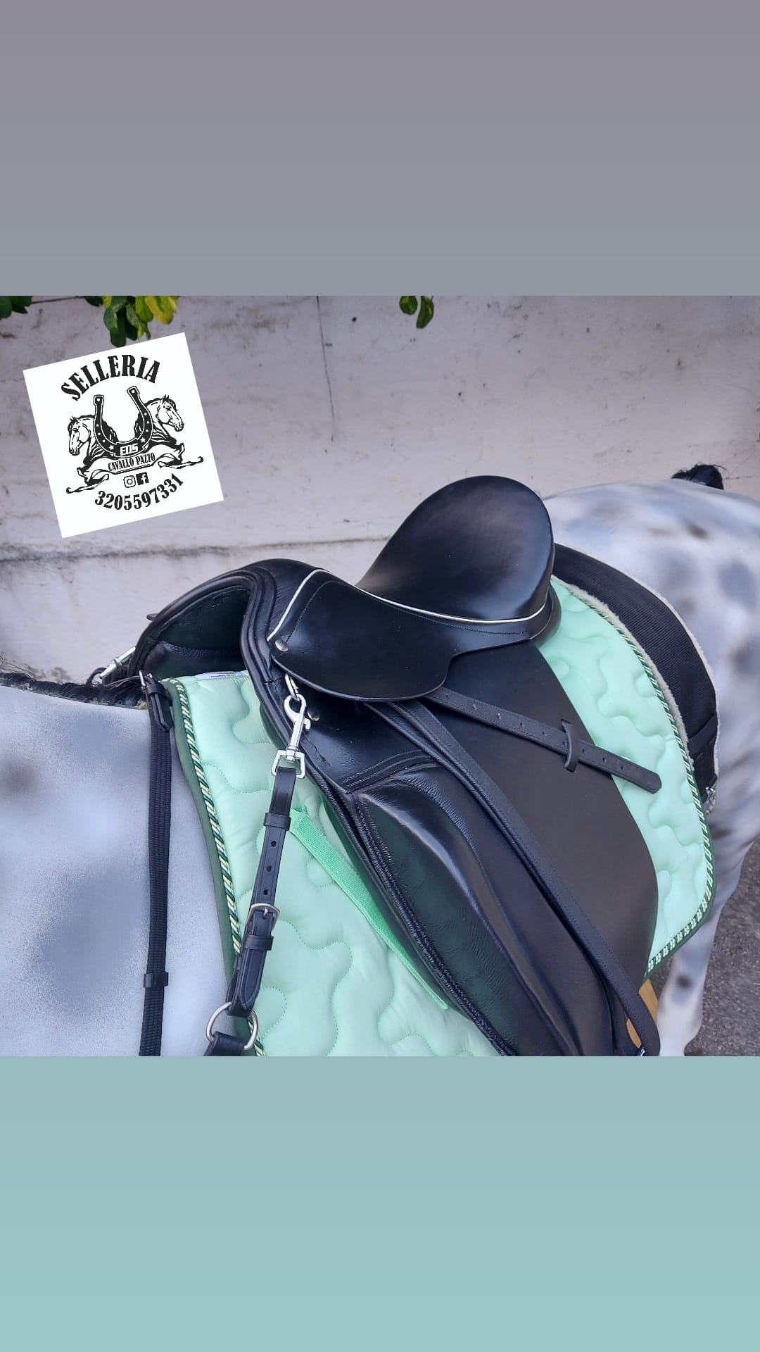 SELLA DRESSAGE QUARTIERE LUNGHI