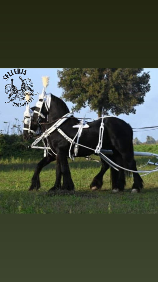 FINIMENTO COMPLETO PER ATTACCO PARIGLIA IN CUOIO BIANCO CON COLLANE / PETTORALE ANATOMIC
