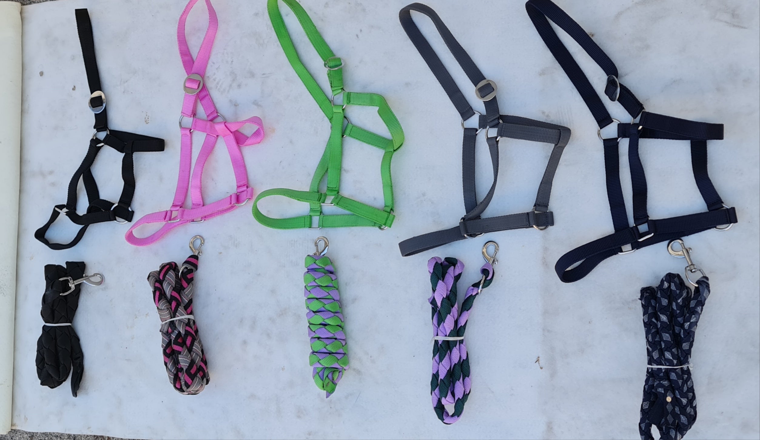 Capezze .cavezze in nylon – Selleria Cavallo Pazzo