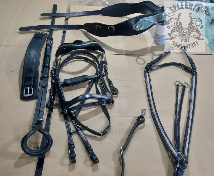 FASCIONE TESTIERA PETTORALE CODIERA