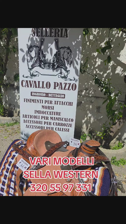 Sella western ANATOMIC