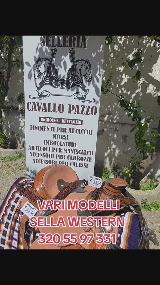 Sella western ANATOMIC