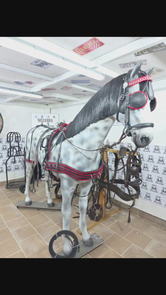 FINIMENTO COMPLETO BIOTHANE SUPERIORE