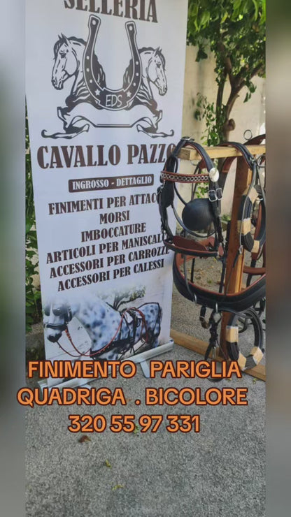 FINIMENTO PARIGLIA E QUADRIGA IN BICOLORE