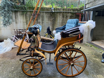 Carrozzella tutt'originale