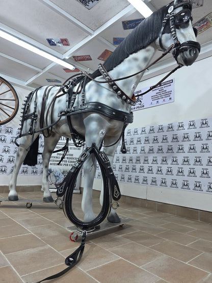 FINIMENTO SINGOLO PARIGLIA QUADRIGA TANDEM