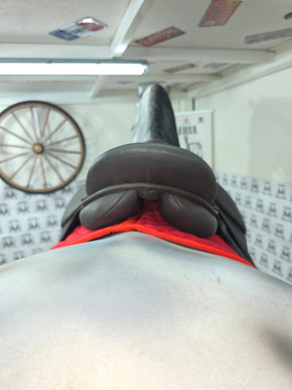 Sella inglese marrone completa o senza accessori