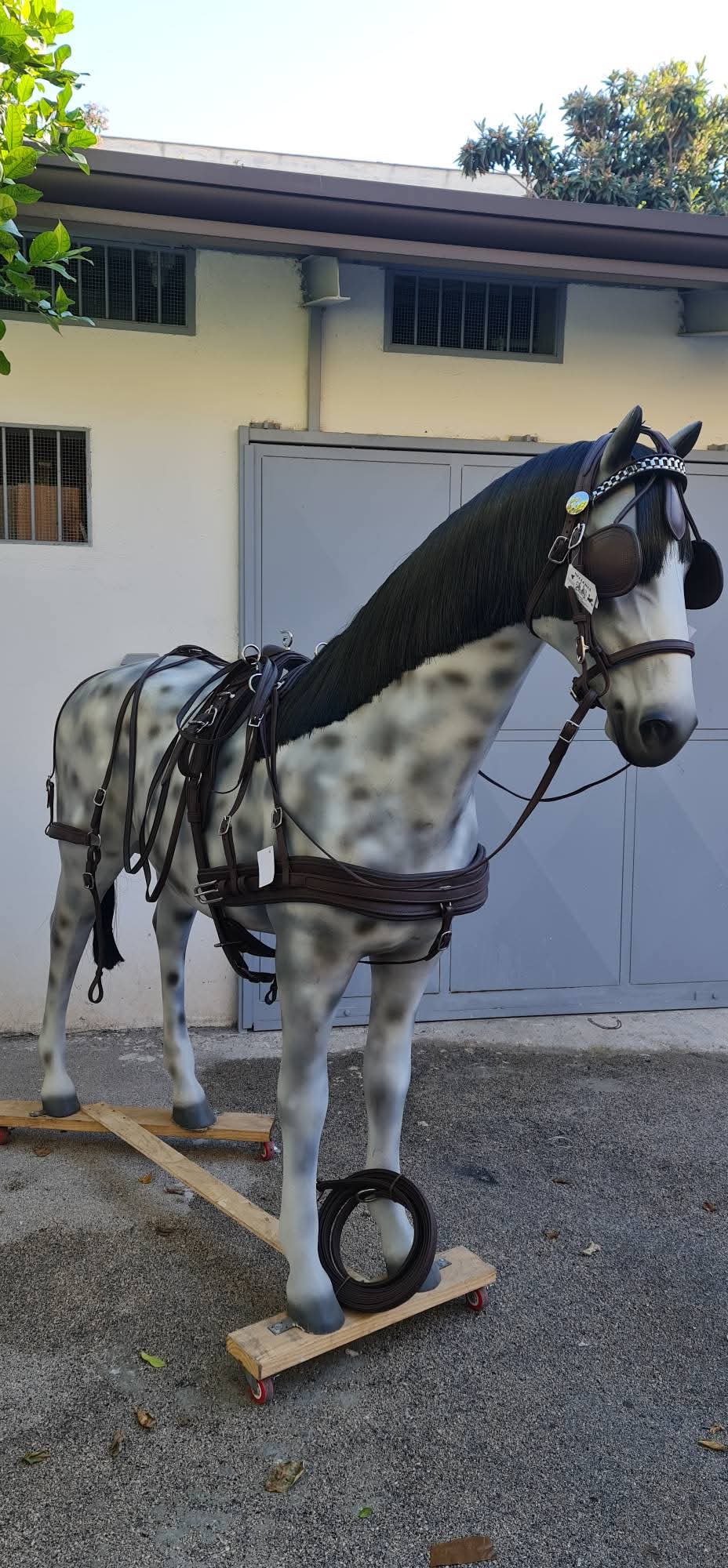 FINIMENTO COMPLETO BIOTHANE SUPERIORE