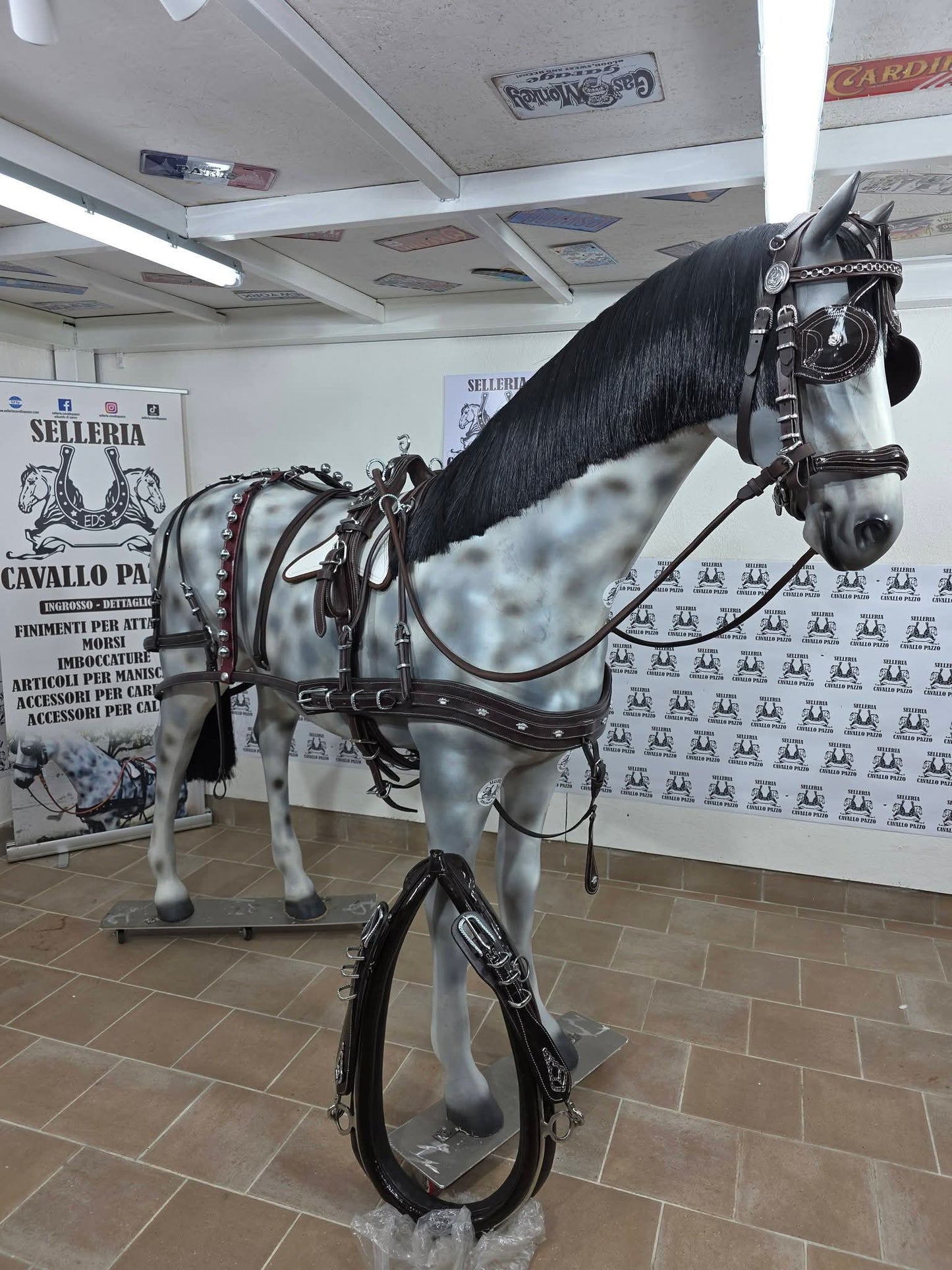 FINIMENTO SINGOLO PARIGLIA QUADRIGA TANDEM