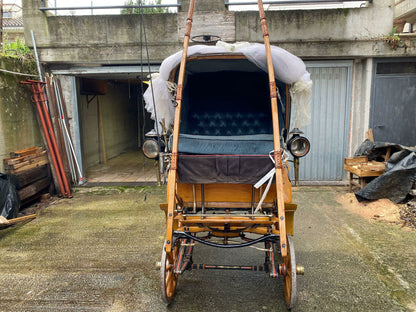Carrozzella tutt'originale
