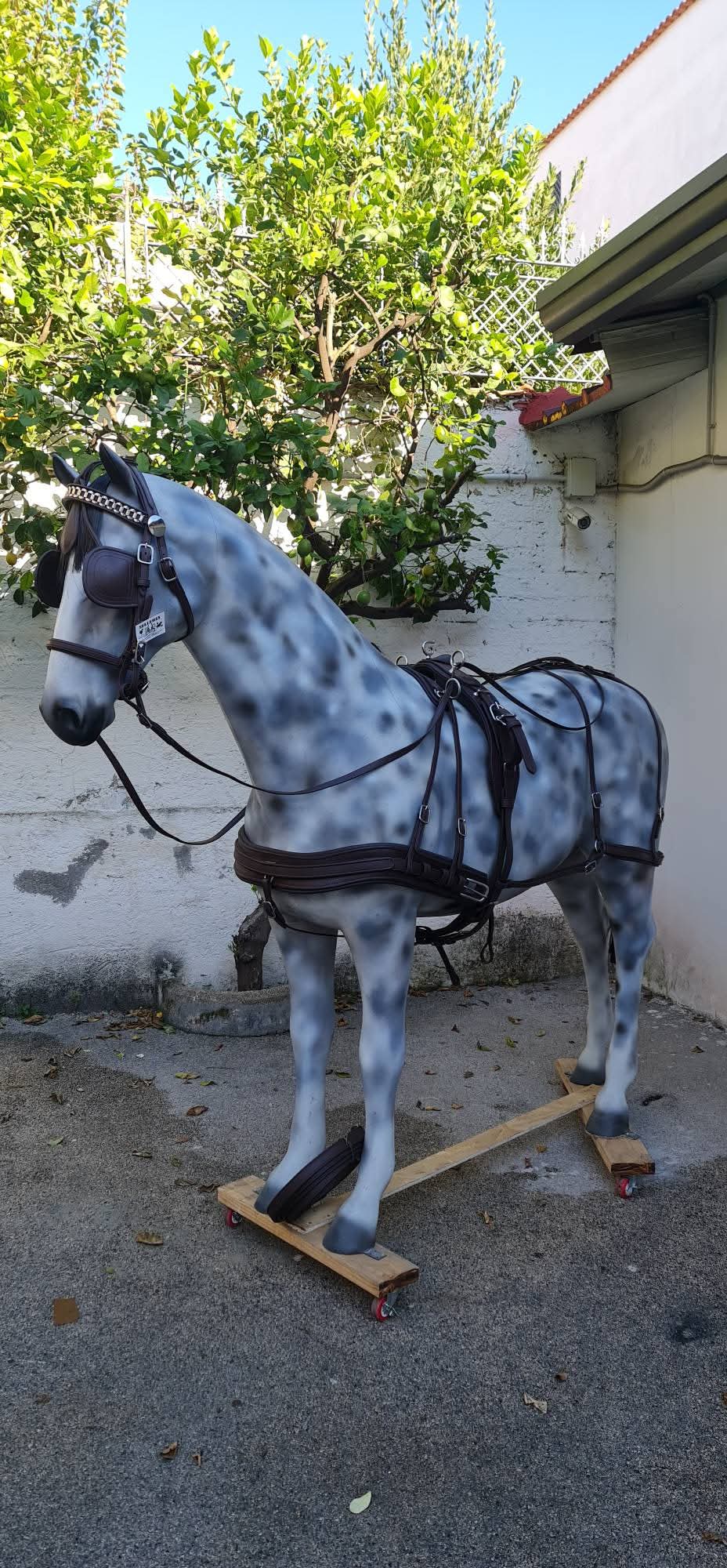 FINIMENTO COMPLETO BIOTHANE SUPERIORE