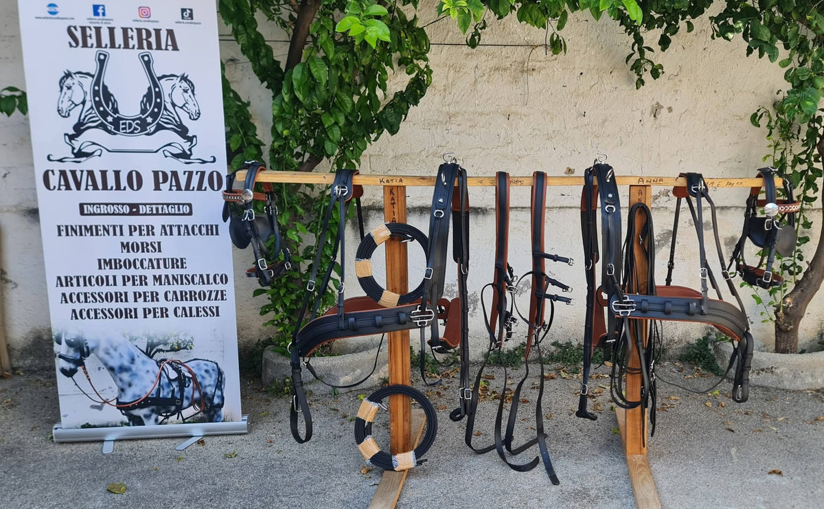 FINIMENTO PARIGLIA E QUADRIGA IN BICOLORE